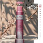 ورساچه کاتالوگ