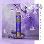 کاتالوگ اکلت